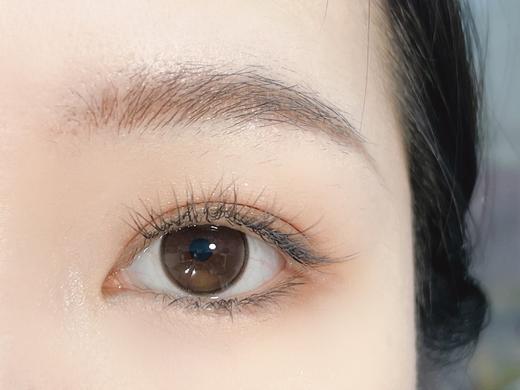 Sondercon日抛-T06黄油小熊 商品图12