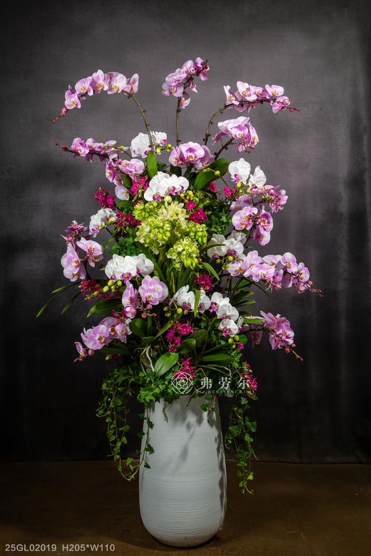 瑞蛇临吉宅 商品图0