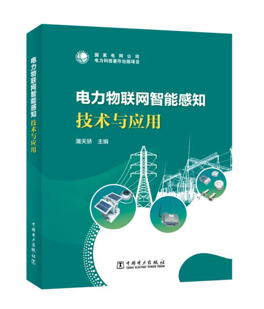 电力物联网智能感知技术与应用 商品图0