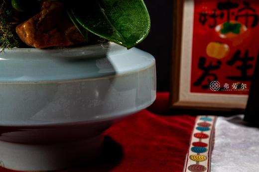 蛇翔四海 商品图3