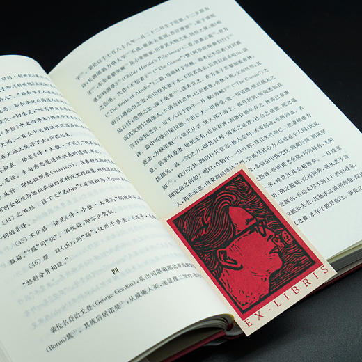 鲁迅《摩罗诗力说》注释·今译·解说 商品图5