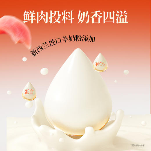 【冻干多福饼】宽福 鲜肉投料  蛋黄鲜香奶香四溢 磨牙酥脆口齿生香 独立包装双重保鲜 锁鲜每一餐 商品图3