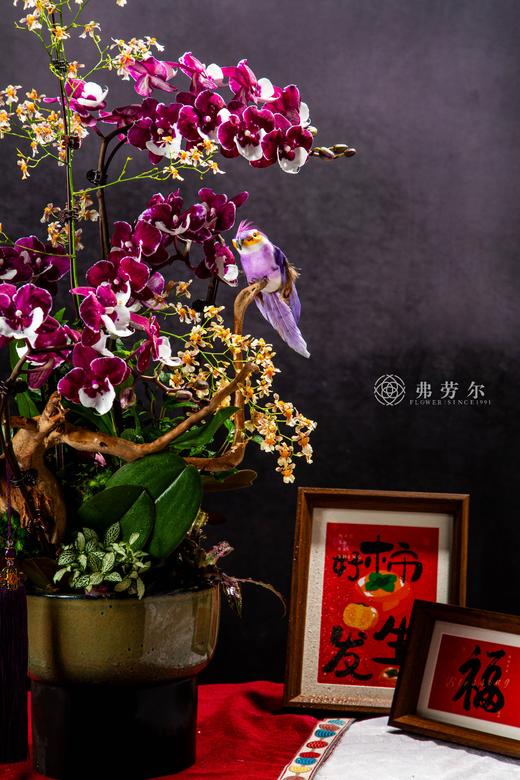 蛇步青云 商品图1