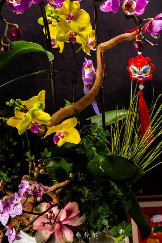 灵蛇启航 商品图1