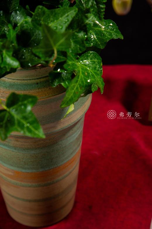 福绕蛇年 商品图3