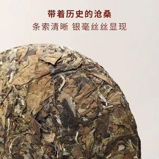 福鼎白茶 | 东南多奇 2017年老白茶寿眉饼300g/饼 商品图2