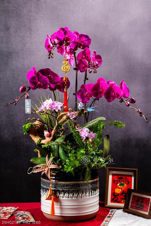 福蛇迎祥 商品图1