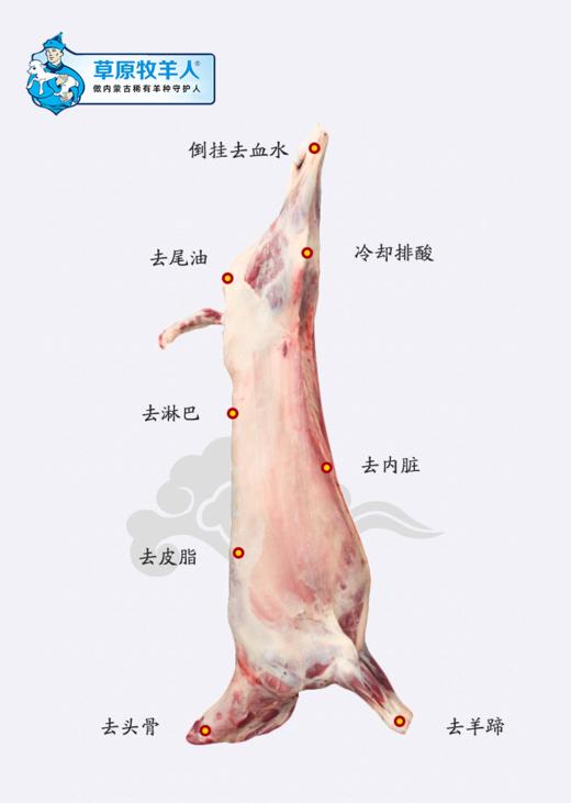 草原牧羊人全羊15kg/箱 商品图1