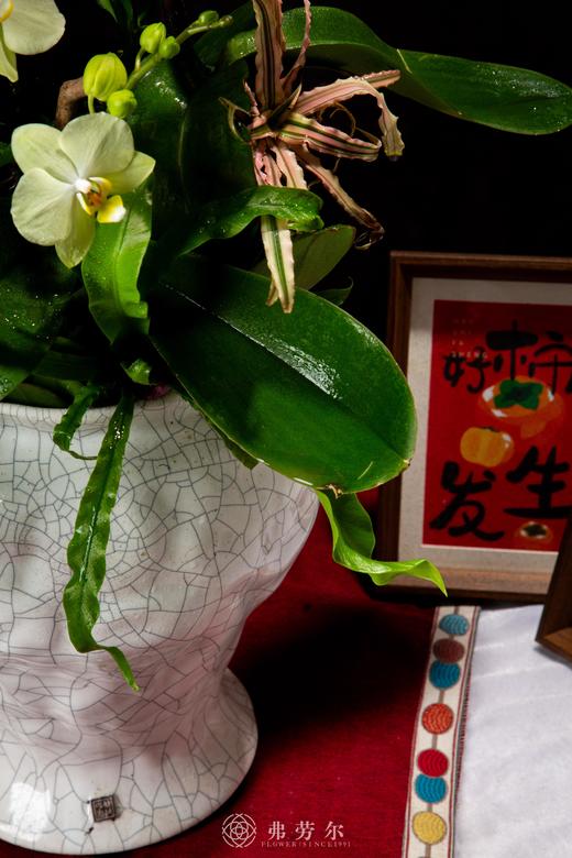 灵蛇迎福 商品图2