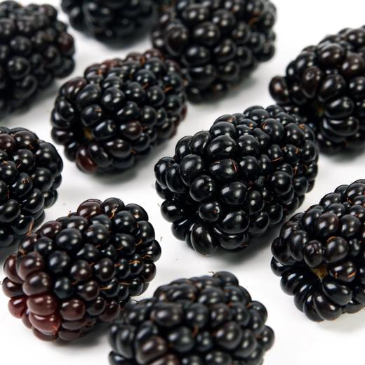 浆果巧克力蛋糕 商品图3