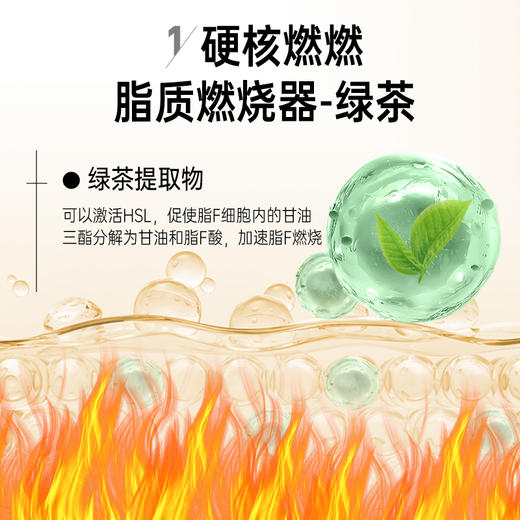 【限时特惠】法国进口EAFIT小腹婆五酶合一绿原酸咖啡提取物减腹静燃阻糖碳油 商品图2