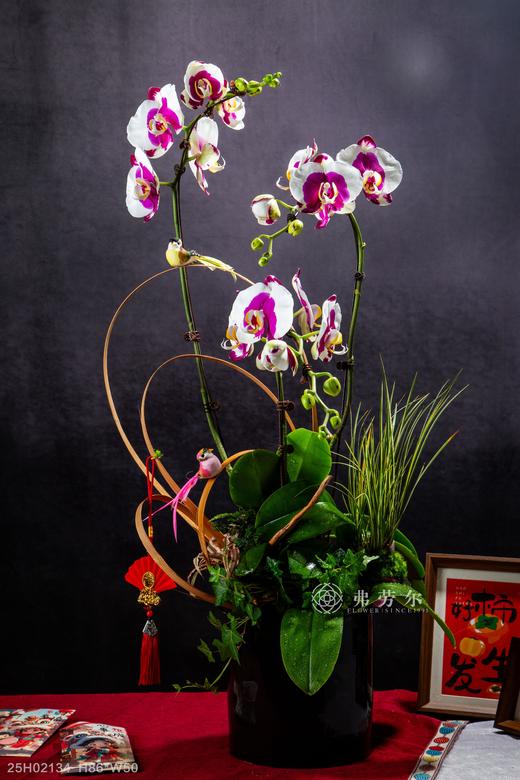 画蛇添福 商品图0