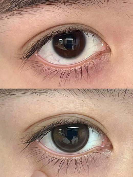 Sondercon日抛-T06黄油小熊 商品图8