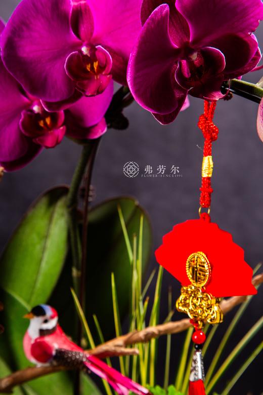 福蛇迎祥 商品图4