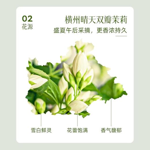澜沧古茶2024年茶妈妈茉莉花茶特级绿茶早春茶窨制花香礼盒 商品图2