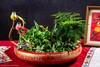 25年 年宵花 组合植物--水仙 商品缩略图1