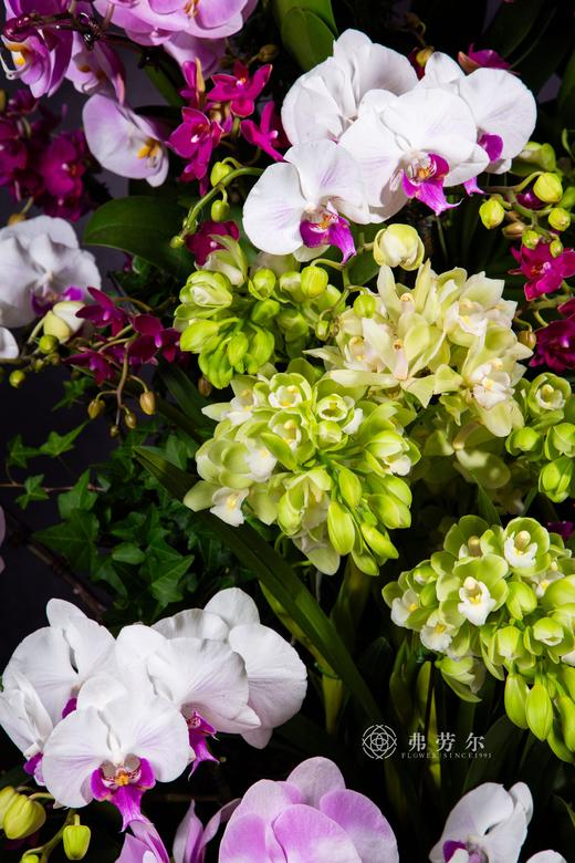 瑞蛇临吉宅 商品图1