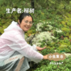野生黄芩茶 25g/包 | 合作农友生产，产自黑龙江大兴安岭，生产者：柳树 &【公平贸易农人定价】 商品缩略图4