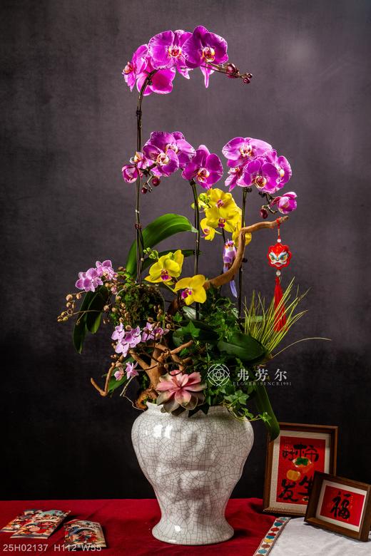 灵蛇启航 商品图0