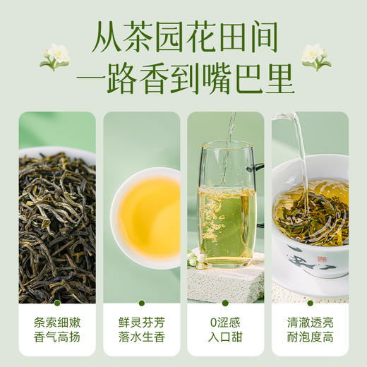 澜沧古茶2024年茶妈妈茉莉花茶特级绿茶早春茶窨制花香单罐 商品图4
