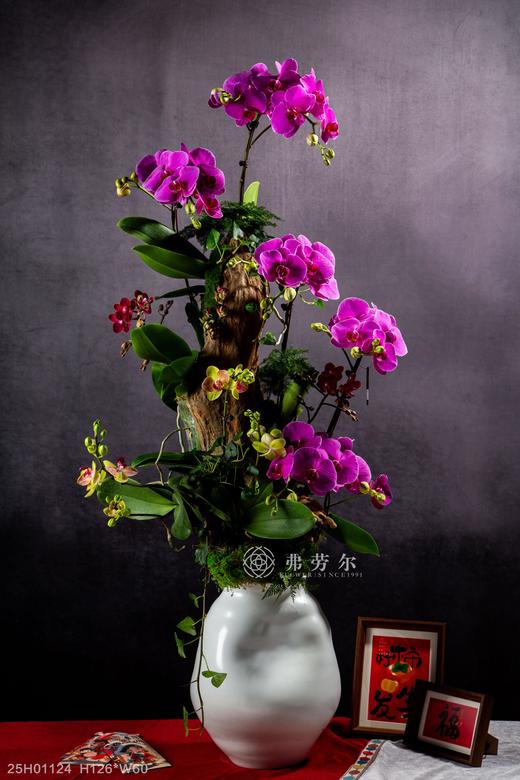 蛇腾万里 商品图0