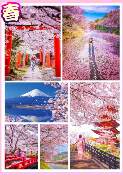 日本.樱花易冷，双飞六天 商品图1