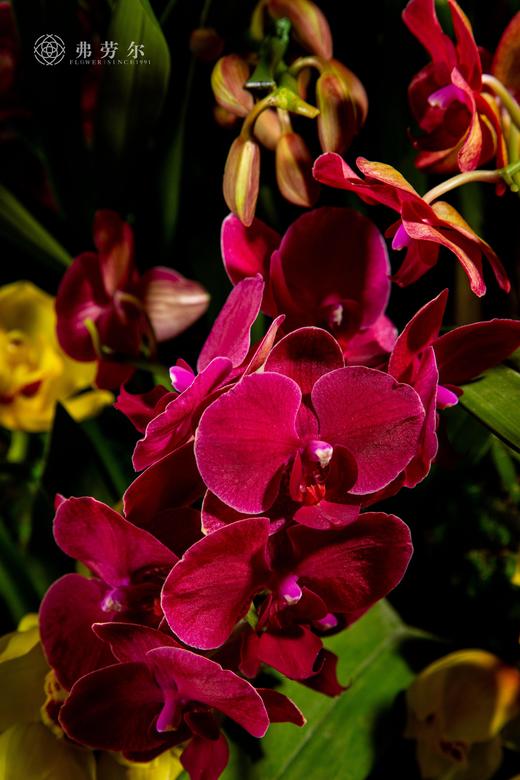 家和万事兴 商品图5