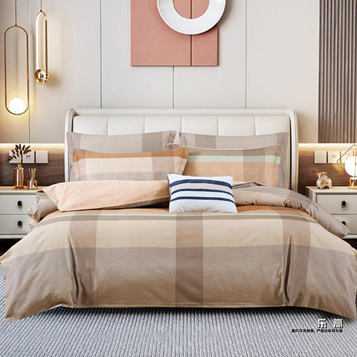 鑫缘 全棉印花磨毛四件套 DMD4418* 商品图4