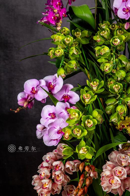 蛇年添瑞象 商品图1