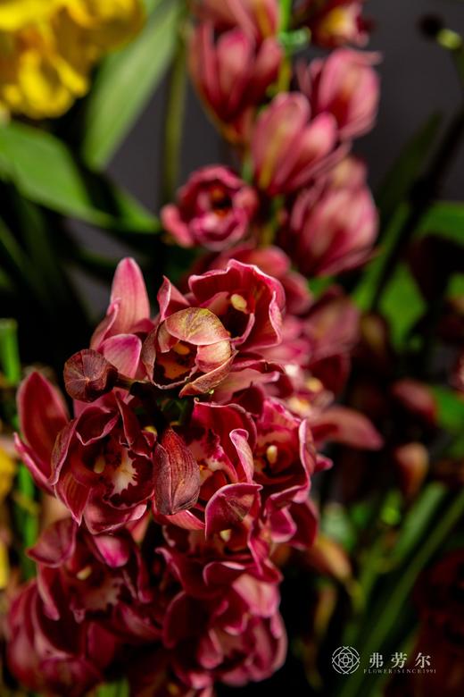 家和万事兴 商品图4