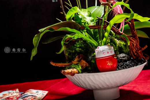 福蛇送安 商品图1