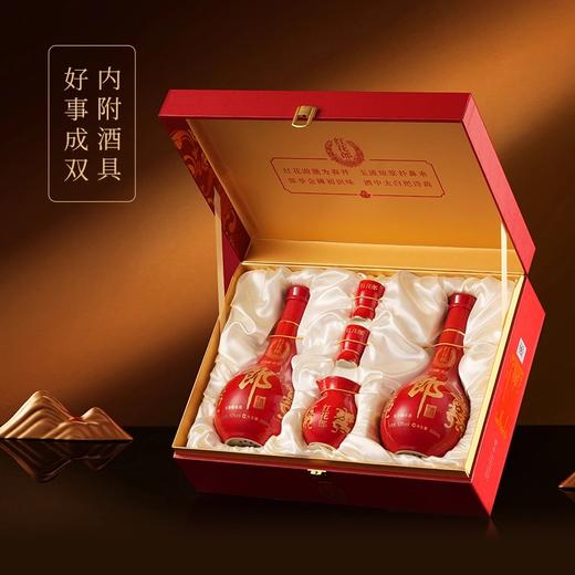 郎酒 红花郎 红十双瓶礼盒 53度酱香型白酒 500ml*2 商品图1