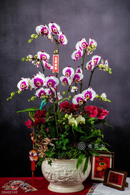 蛇迎新章 商品图0