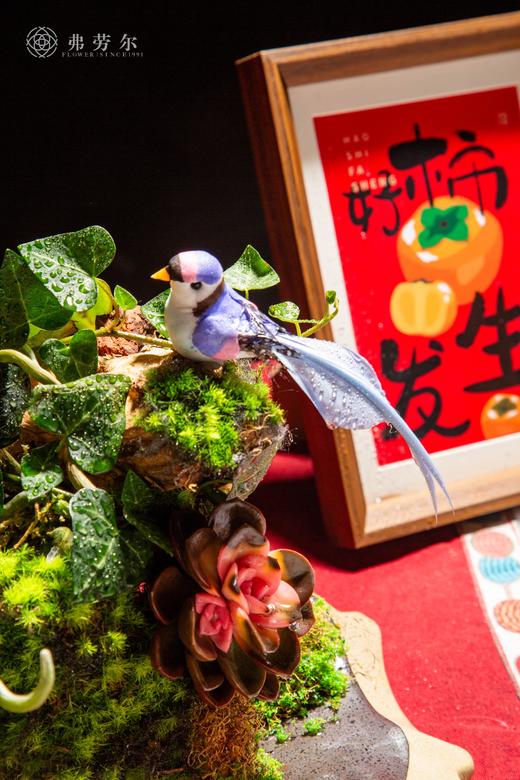 瑞蛇健宁 商品图1