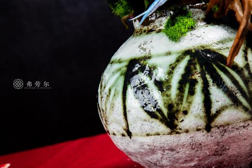 蛇携新象 商品图3