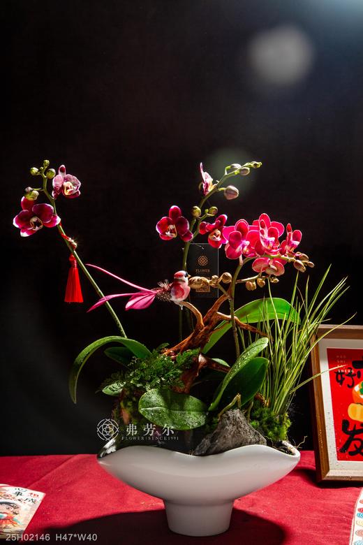 蛇佑安康 商品图0