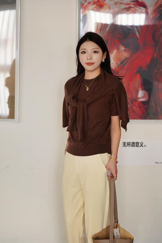 【现货】安诺多巴胺小衫 圆领针织衫【水溶羊毛】四季皆宜LQWG9255 商品图0