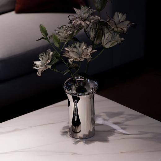 奢蒂双层花器 RESONG日诵家居 水晶不锈钢插花瓶 商品图3