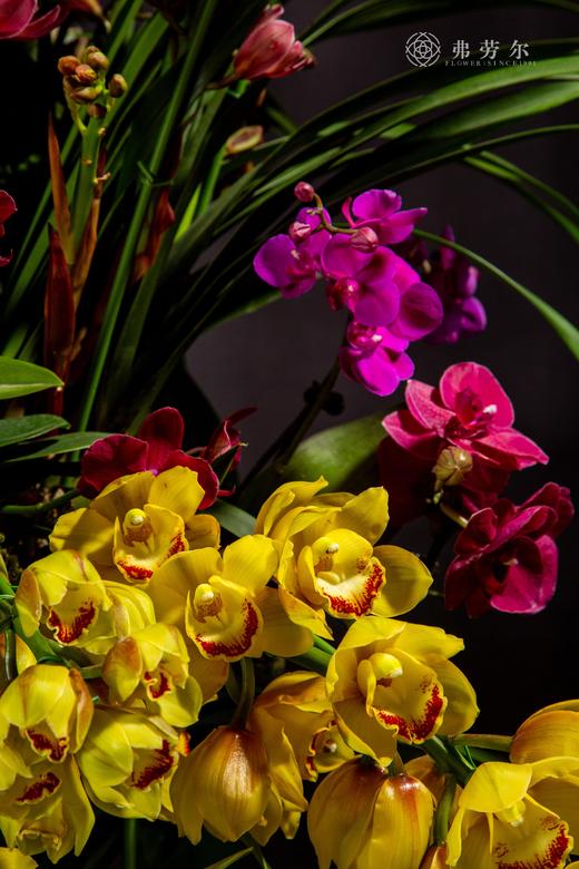 家和万事兴 商品图1