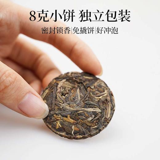 茶鲜森 喝遍名山小饼茶礼盒 普洱茶生茶 8g/泡，拍3发4 商品图1