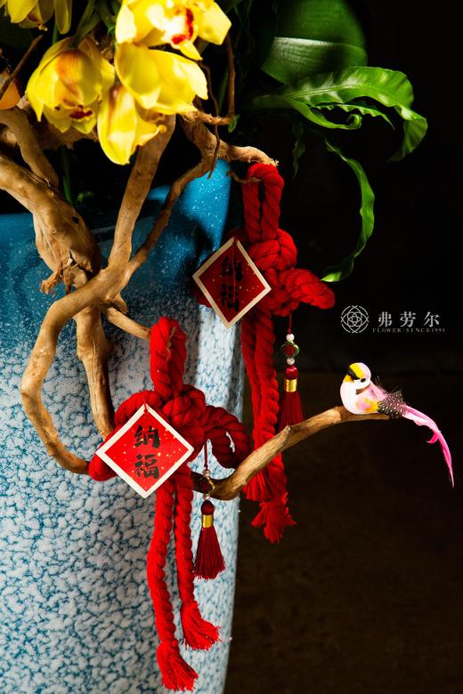 家和万事兴 商品图7