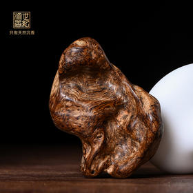 天然芽庄沉香 沉水级 22.8克 SP10698