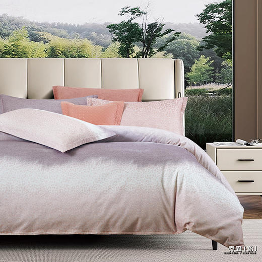 鑫缘 全棉印花磨毛四件套 DMD4418* 商品图3