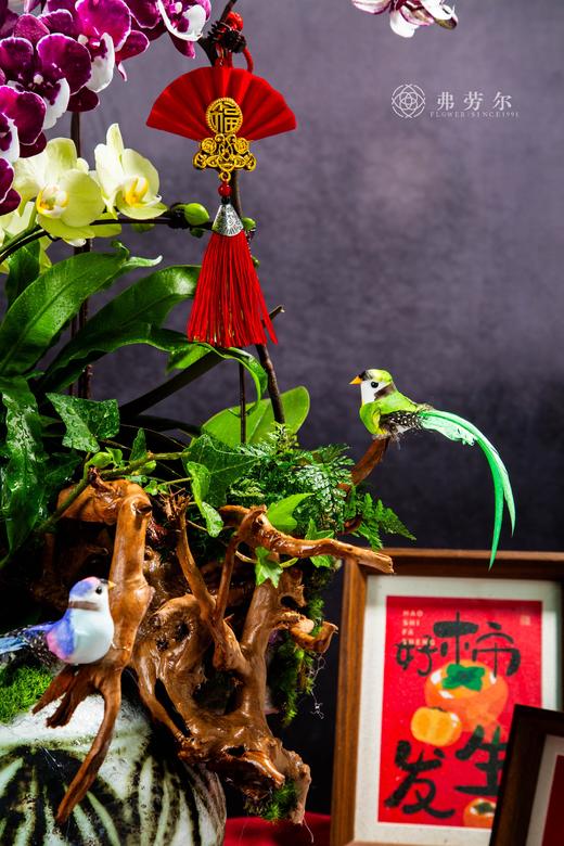 蛇携新象 商品图1