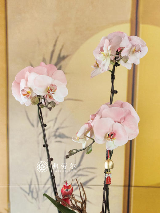 JT恭喜发财 商品图1