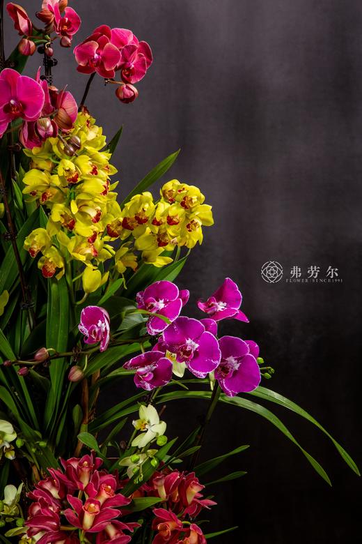 金蛇吟福韵 商品图0