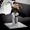 奢蒂双层花器 RESONG日诵家居 水晶不锈钢插花瓶 商品缩略图1