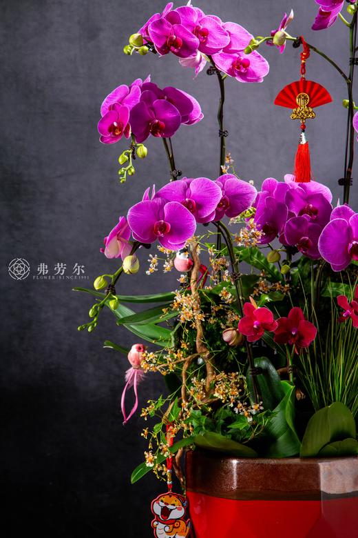 蛇跻新程 商品图1