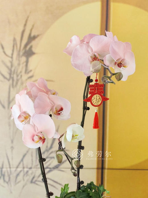 JT五彩缤纷 商品图1