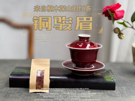 【会员福利】 与金骏眉同系同枝，铜骏眉鲜香滑嫩，浓厚如醴酪，照亮整个冬日！ 商品图5